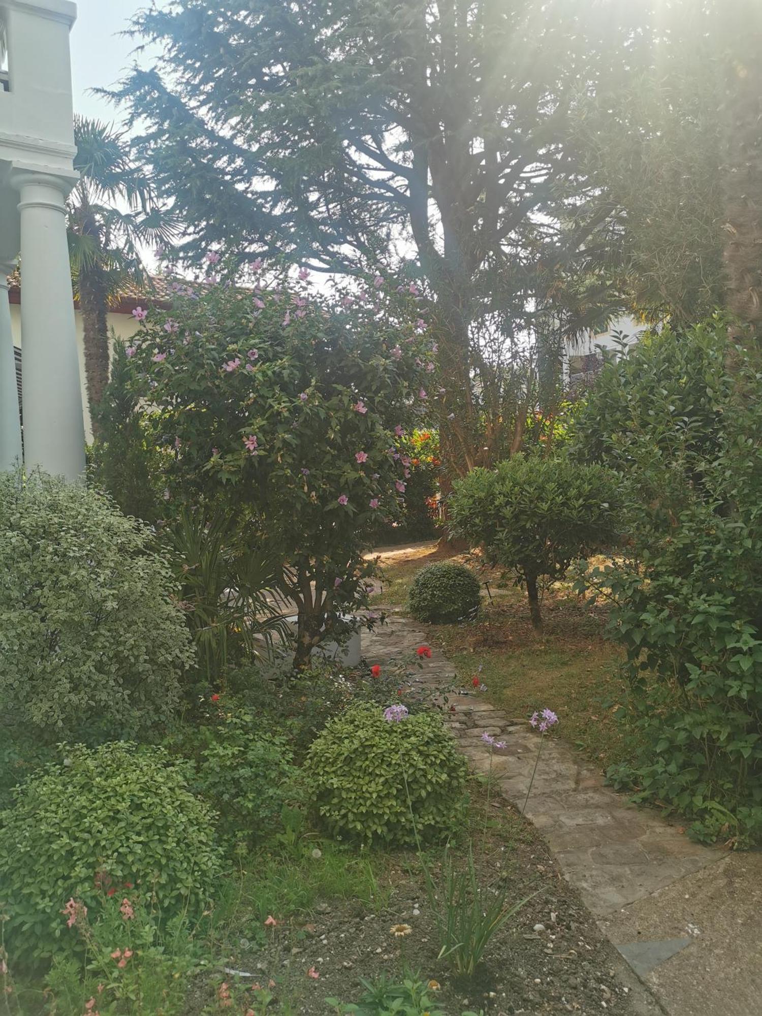Eche-pherdea Saint-Jean-de-Luz
